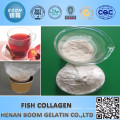 POUDRE DE COLLAGÈNE DE POISSON HALAL CHINE